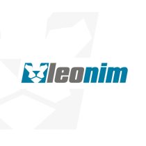 leonim bilişim yazılım aslan logo tasarımı