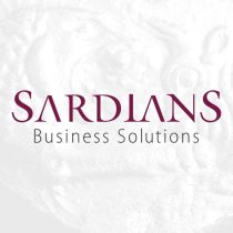 sardians business solition logo design kurumsal logo tasarımı