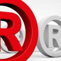 marka sınıf ve alanları markaların sınıfları