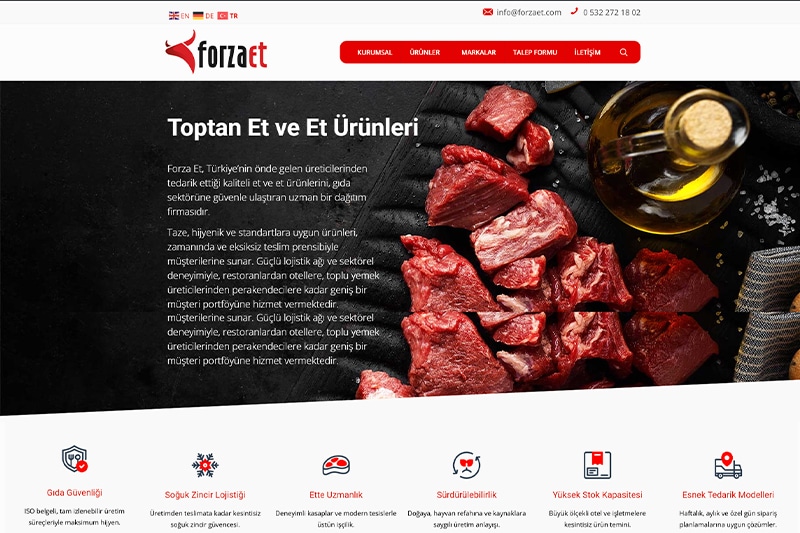 forzaet web sitesi tasarımı ve uygulama seo