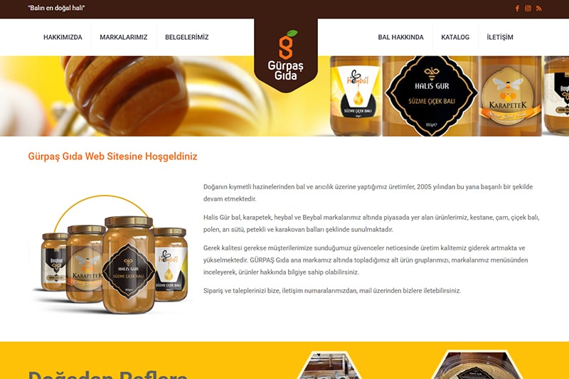 Gürpaş gıda bal web sitesi tasarımı